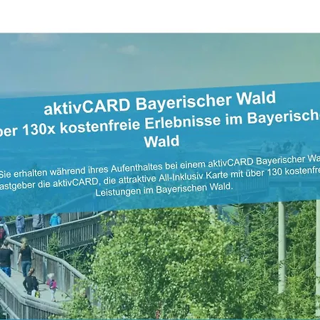 App Mit Klima, Pool, Garage Fuer Auto, Bike, Skier, Aktivcard Optional Апартаменты