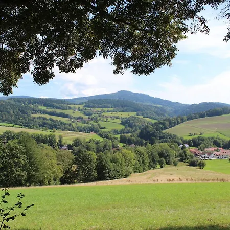 App Mit Klima, Pool, Garage Fuer Auto, Bike, Skier Inkl Aktivcard Bayerischer Wald Appartement Sankt Englmar