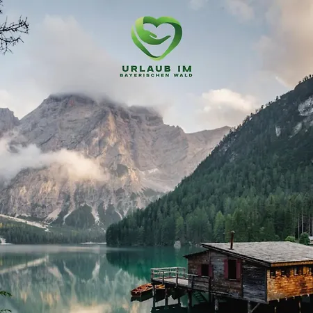 App Mit Klima, Pool, Garage Fuer Auto, Bike, Skier Inkl Aktivcard Bayerischer Wald Apartman